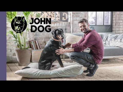 Jak nauczyć psa reagowania na komendę NA MIEJSCE - TRENING PSA - John Dog