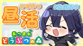 【あつまれどうぶつの森】ハピパラ昼活【長尾景/にじさんじ】