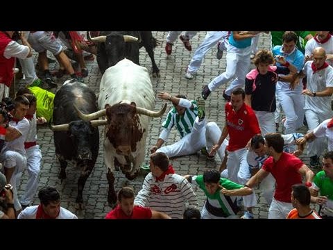 Spanish Fighting Bulls Gore Americans at San Fermin
