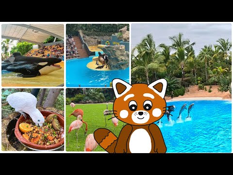 Pukkins kollar på djur i Loro Parque på Tenneriffa - Lek med oss