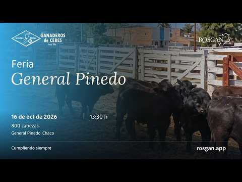 Feria General Pinedo | General Pinedo, Chaco