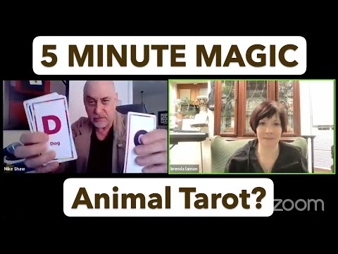 5 MINUTE MAGIC - Animal Tarot Card Trick