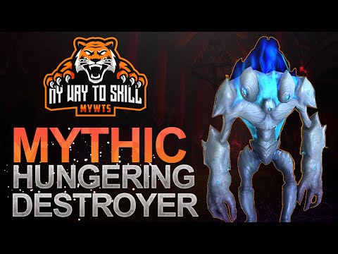 My Way to Skill VS Hungering Destroyer - Mythic Castle Nathria