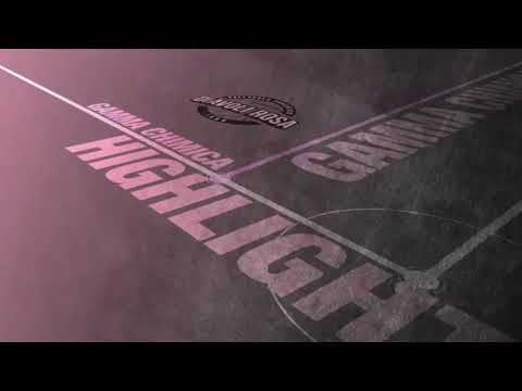 #highlights Gamma Chimica Brugherio - Vigilar Fano (3-0)