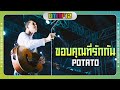 ขอบคุณที่รักกัน POTATO Live At Big Mountain Music Festival 12