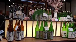 [후쿠오카 여행] 하카타 백년창고 '이시쿠라 주조' 사케양조장을 가다