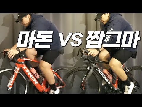 짭그마 vs 마돈 ㅣ평로라체감 비교