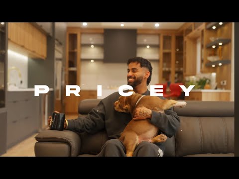 Pricey (Full Audio) — watch video