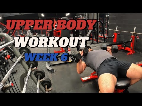 Spring Cut - Day 49 - Upper Body 3 || Week 6