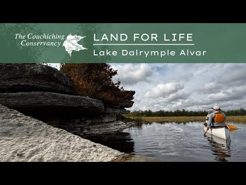Lake Dalrymple Alvar, the last undeveloped alvar shoreline on Lake Dalrymple