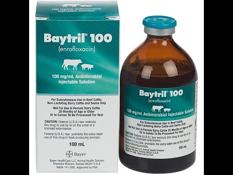 Baytril 100 Enroflaxin Injectable