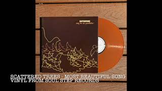 Scattered Trees - Most Beautiful Song