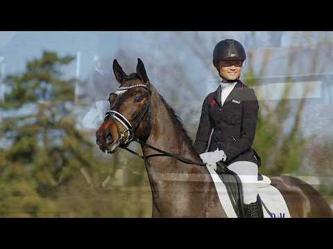 28 Glanzvoll Wallach v. Goldberg - Florenciano