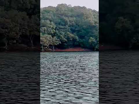 Relax.. #song #love #nature #travel #viralvideo #reels #sukoon