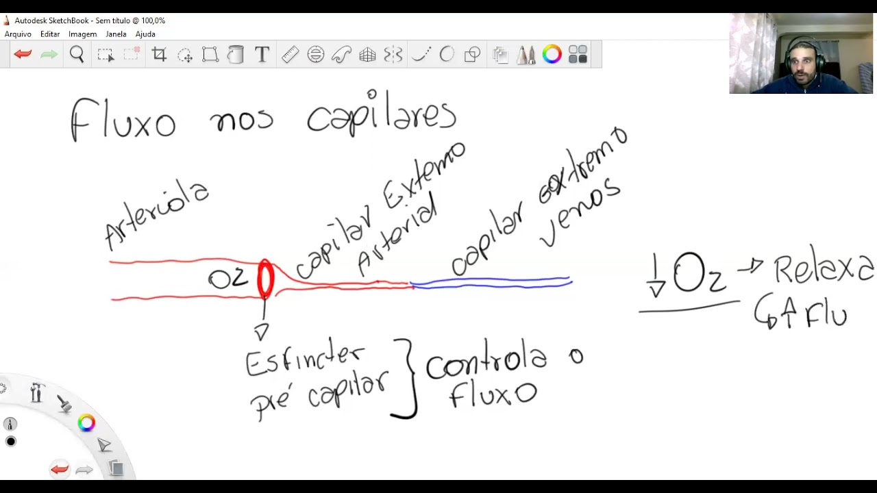 Capitulo 16 - Guyton - A Microcirculação e o Sistema Linfático
