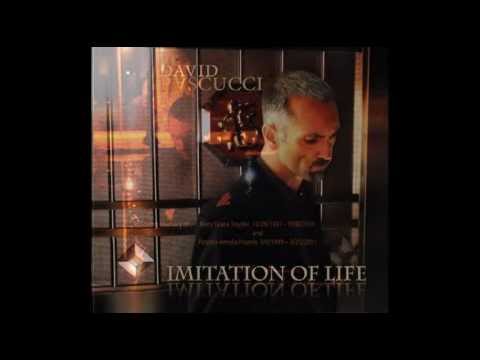 Imitation of Life - David Pascucci (from the album 