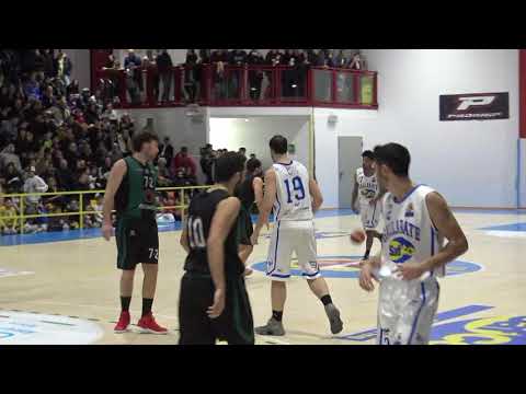 Il Teddy bear toss a Gallarate - Basketball Gallaratese