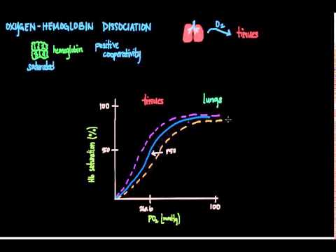 Immune Up-Regulation Video