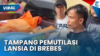 TAMPANG ROKIB, PEMUTILASI Lansia di Brebes Terungkap, Emosi Ditampar saat Ditagih Utang Korban