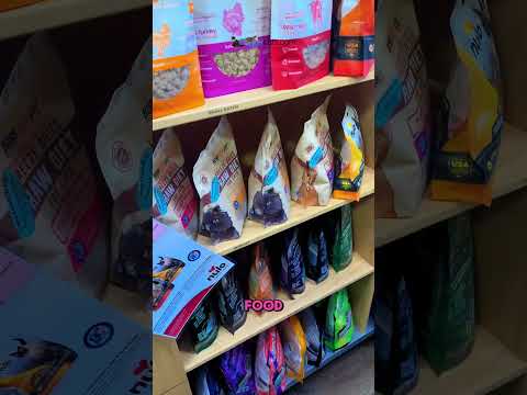 The Pet Store That Feels Like Home. Welcome to Long Leash on Life! 🏡 #HolidaysOnShorts