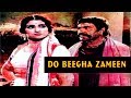 DO BEEGHA ZAMEEN 1982 SULTAN RAHI ANJUMAN MUMTAZ MUSTAFA QURESHI OFFICIAL PAKISTANI MOVIE