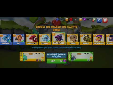 DO YOU HAVE HYPOESTES DRAGON 🐉!? HOW TO BREED HYPOESTES DRAGON!!!🤩