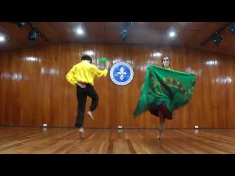 DANZA FOLCLORICA NARIÑENSE "GUANEÑA" Idilio Amoroso