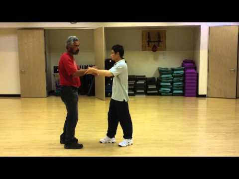 Sample Push Hand Basic Foundation Training Fundamental