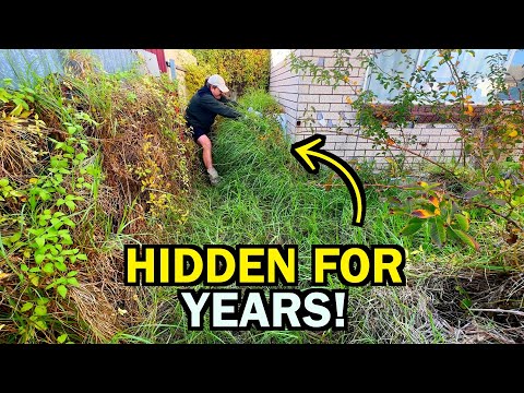 You've NEVER Seen a Garden Transformation like THIS! - FREE & INSANE
