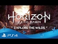 Horizon Zero Dawn | Explore the Wild | PS4