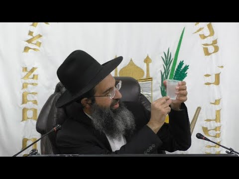 יום כיפור - מדיני התענית, חולה, מעוברת, כפרות ותפילות 🕍 הרב שי עובד | רביעי - שבת כיפור - תשפה