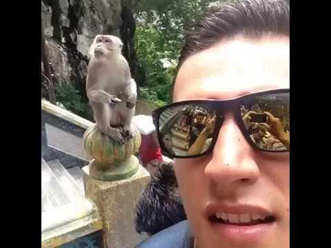 YouTube video