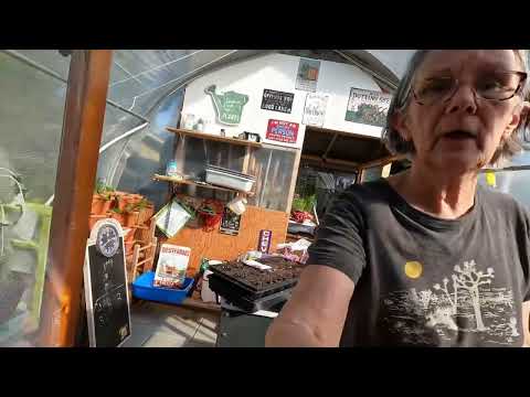 #127 Cold Stratification #gravel #backyardgardening New channels 👍