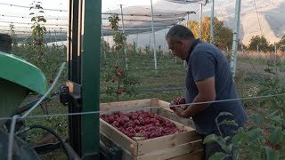 Իմ բիզնեսը. Թաթուլ Դումանյան
