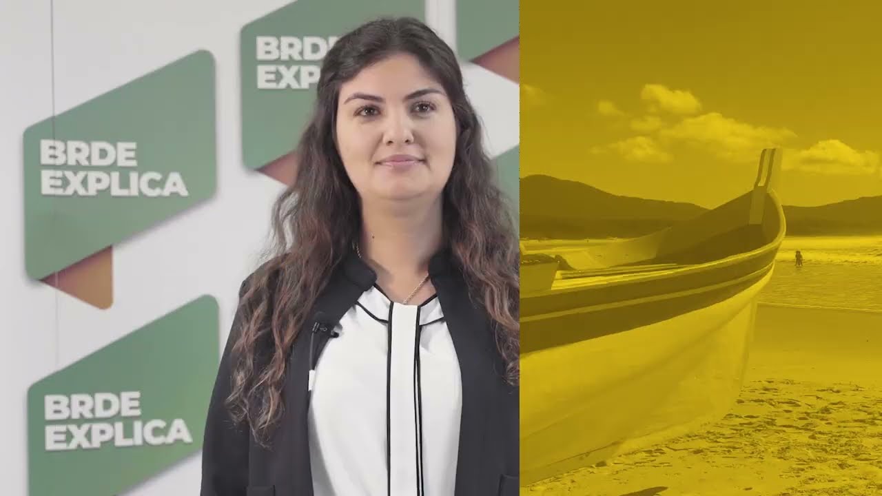 Conceito de crédito, tipos de crédito, elementos do crédito – Thais Grandi