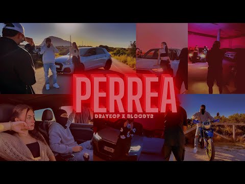 Draykop - PERREA🔥 [Official Music Video]     “Lo más duro del verano”  #perrea #5001 #reggaeton2025