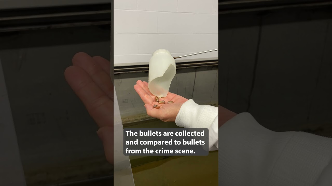 Forensic Firearms Analysis