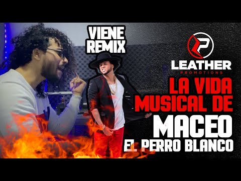 Maceo "El Perro Blanco" ft El Alfa "El Jefe" (SE JUNTAN DE NUEVO)