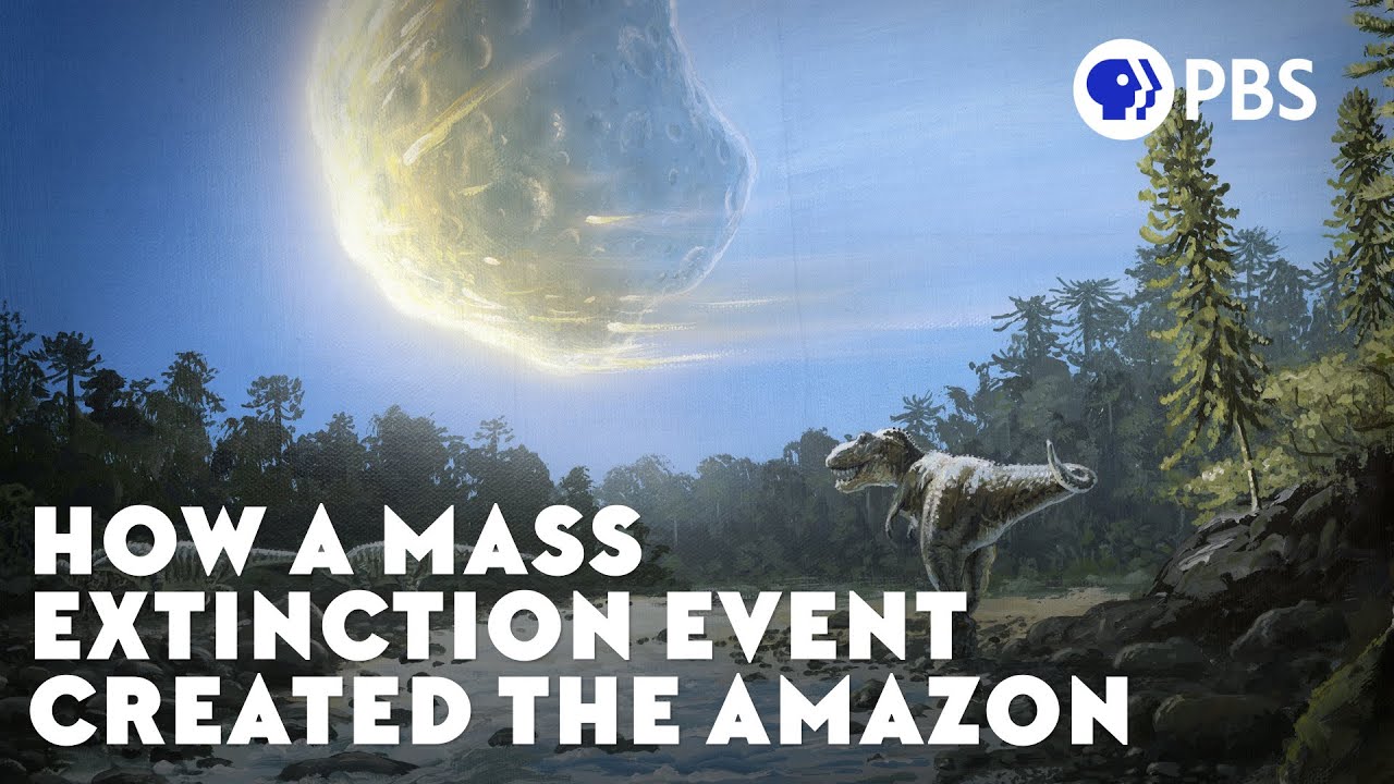 How a Mass Extinction Event Created the Amazon