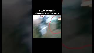 Download lagu carok madura hasan vs mat tanjar gerak pelan mp3