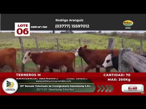 05-11-25 - 101º Remate Televisado de Consignataria Hasenkamp S.R.L.-    Entre Ríos