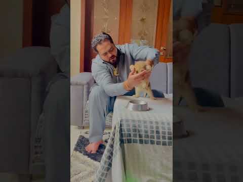 Jab mufasa 1 months ka tha (mian saqib)