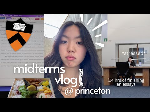 finish my essay with me in 24 hrs | princeton midterms week