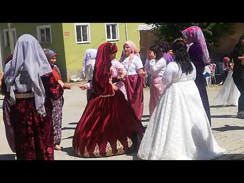 Müzisyen Özlem Ökten AKŞEHİR düğünleri Çakıllar köyü mahallesinden Ramazan & Büşra çeri çiftinin