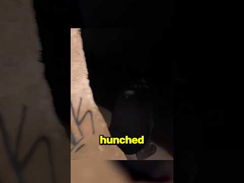 Friend Went Missing In The Sewers