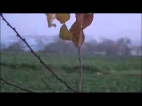 استهداف قوات النظام بقاذف آر بي جي من قبل كتائب شهداء الحق وصقور الشام في مدينة الزبداني في ريف دمشق