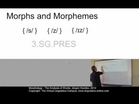 MOR101 - The Analysis of Words