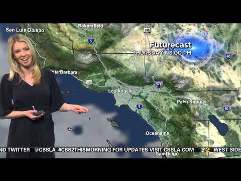 Evelyn Taft 2015/07/02 CBS2 Los Angeles HD