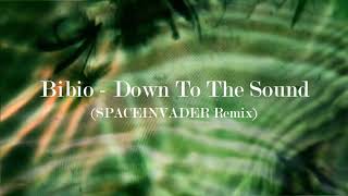 Bibio - Down To The Sound (SPACEINVADER Remix)