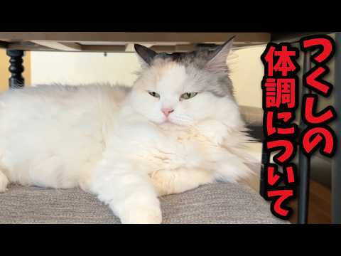 An update on Tsukushi's health